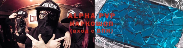 прущие грибы Белокуриха