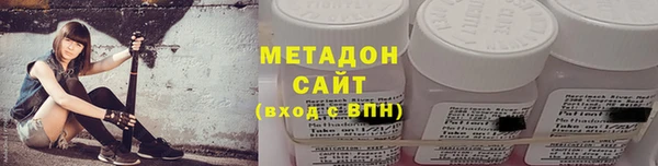 прущие грибы Белокуриха