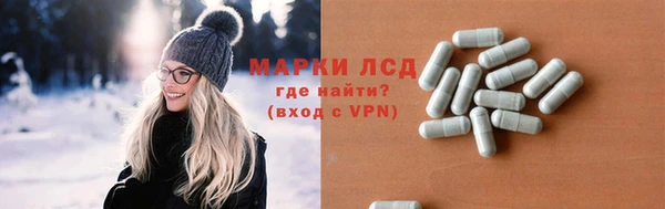 прущие грибы Белокуриха