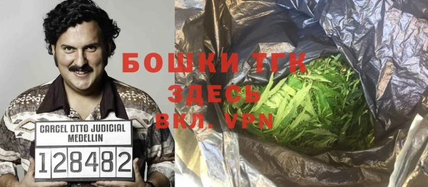прущие грибы Белокуриха