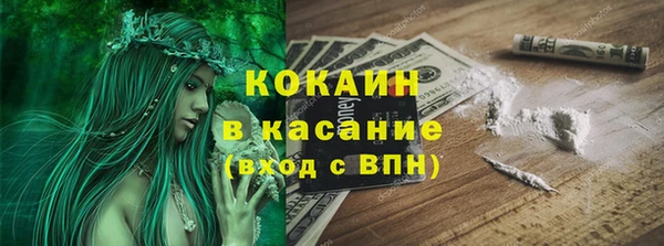 прущие грибы Белокуриха