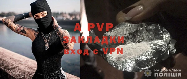 прущие грибы Белокуриха