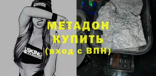 прущие грибы Белокуриха