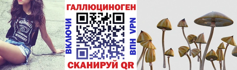 Псилоцибиновые грибы Cubensis  Облучье 